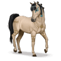 caballo especial amira
