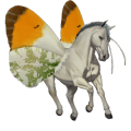 unicornio de montar bayo tostado
