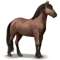 caballo salvaje banker