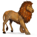 caballo salvaje león africano
