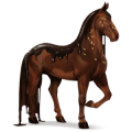 caballo divino chocolate negro