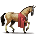 caballo de montar akhal-teke alazán