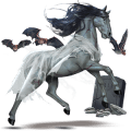 pegaso de montar rizado alazán tostado