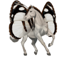 pegaso de montar pura raza española cremello