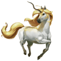 caballo divino piccolo