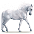 caballo de agua copo de nieve