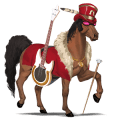 poni fjord brunblakk