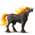 pegaso de montar cuarto de milla gris claro
