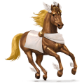 caballo de montar pura raza española gris claro
