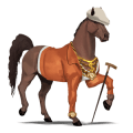 poni chilote cremello