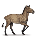 caballo prehistórico hipparion