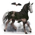 caballo de montar cuarto de milla bayo cereza