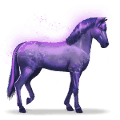 caballo del arco iris devoted indigo