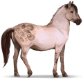 caballo salvaje konik