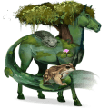 poni fjord brunblakk