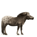 caballo de montar cuarto de milla alazán