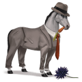 caballo de montar pura raza española gris claro