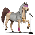poni pegaso shetland bayo