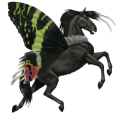 caballo de tiro percherón negro
