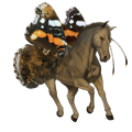 caballo de montar Árabe alazán crines lava