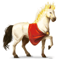 pegaso de montar kwpn negro