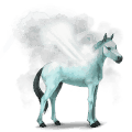 caballo de agua geyser
