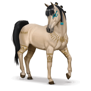caballo especial amira