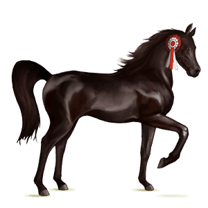 caballo de montar tennessee walker negro