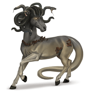 poni pegaso fjord gra