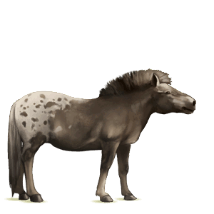 pegaso de montar pura raza española gris claro