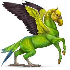 caballo salvaje periquito