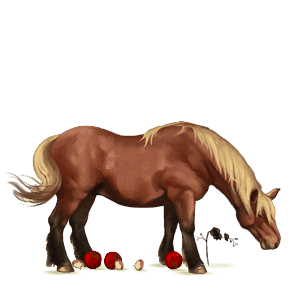 pegaso de montar Árabe isabelo