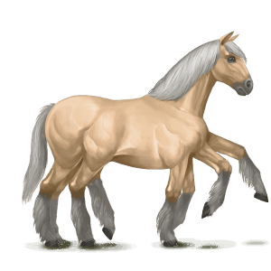 sleipnir palomino