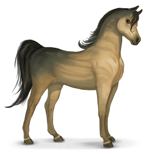 caballo del sistema solar venus