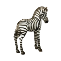 compagnon-zebre_v1549988576.png