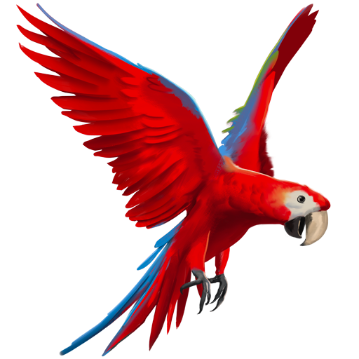 compagnon-ara-ailes-vertes.png