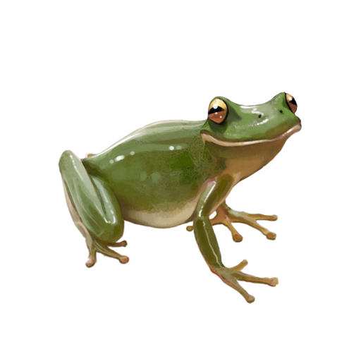 compagnon-grenouille.png