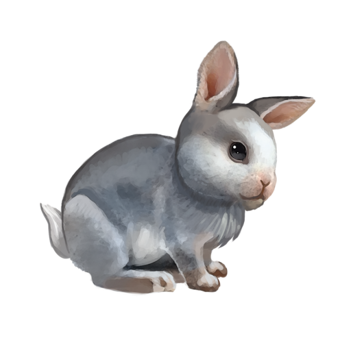 compagnon-lapin.png