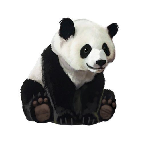 compagnon-panda.png