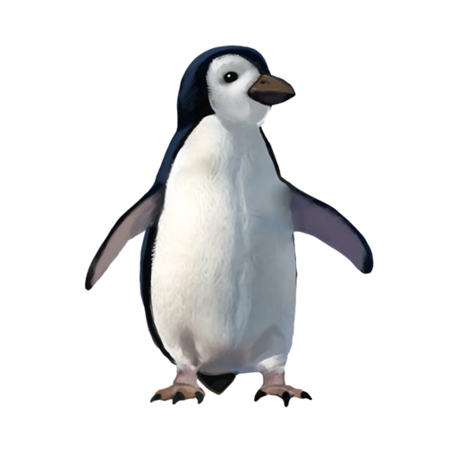 compagnon-pingouin.png