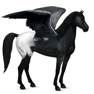 pegaso mustang blanket negro