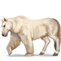 caballo salvaje oso polar