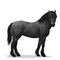 caballo prehistórico caballo del bosque