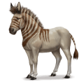 caballo prehistórico hydruntine