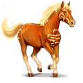 caballo divino wikaïla