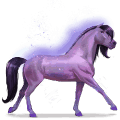 caballo del arco iris brave purple