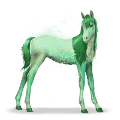 caballo del arco iris forest green