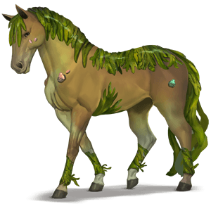 caballo divino alga