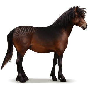 caballo salvaje dartmoor