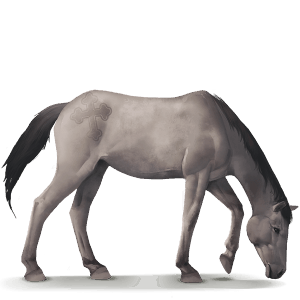 caballo salvaje poni de dulmen